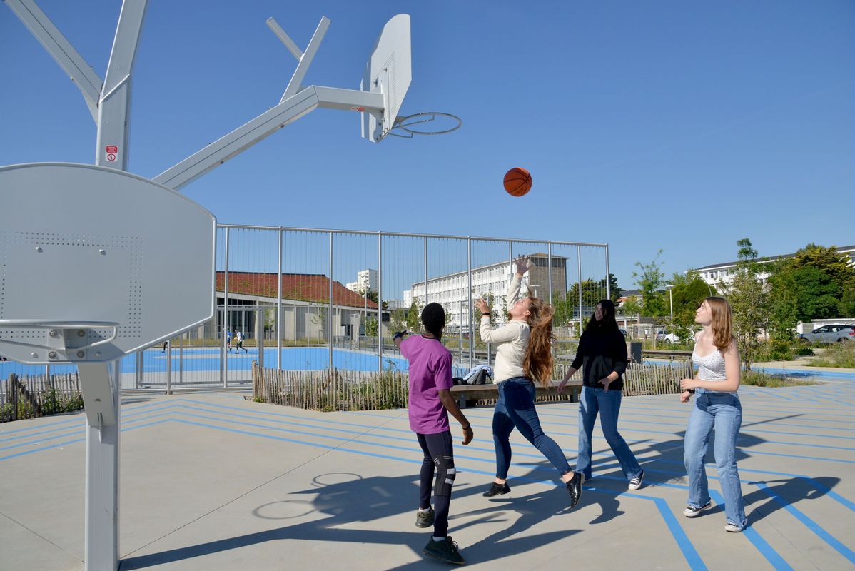 Arbre à basket situé sur le terrain multisports de la plaine des sports.