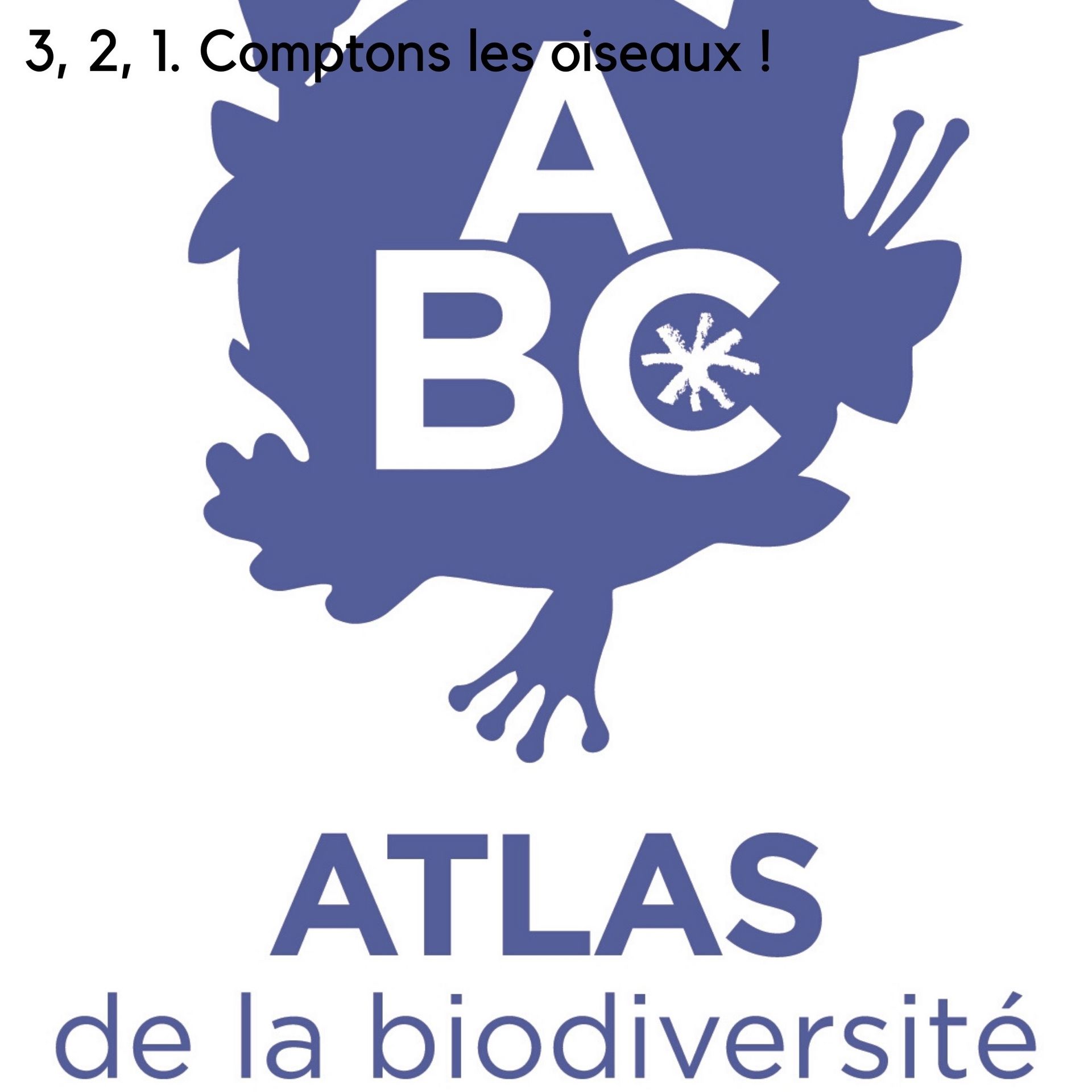 3, 2, 1. Comptons les oiseaux !